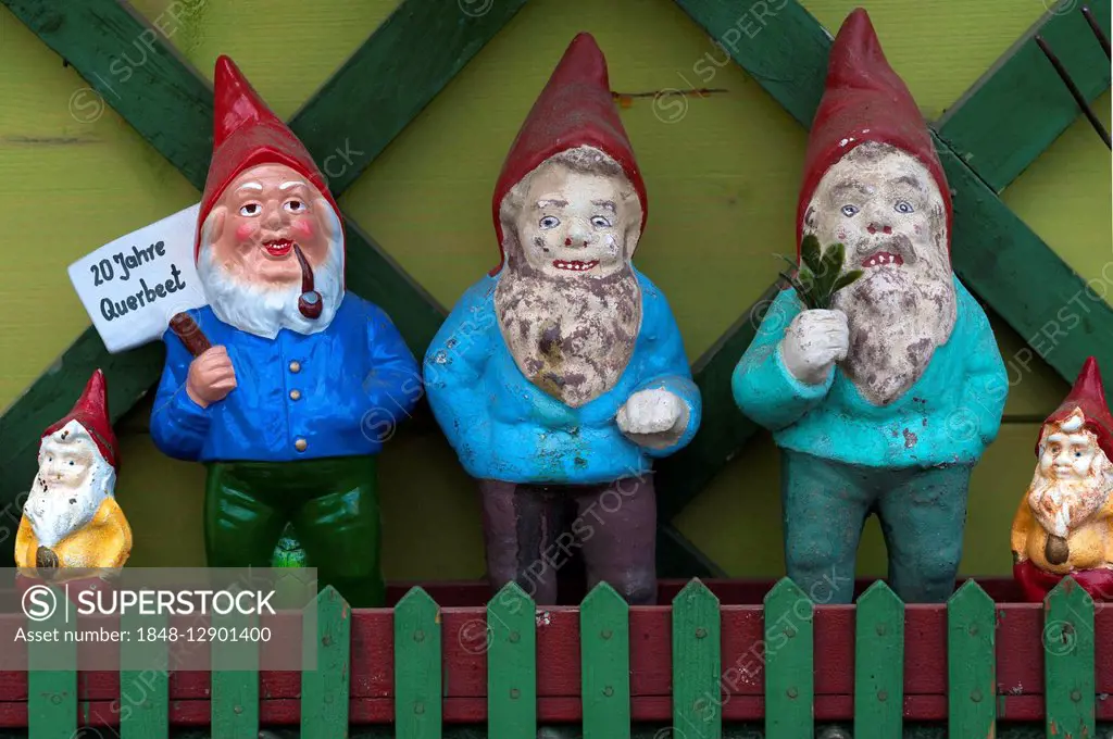 Garden gnomes, Bavaria, Germany