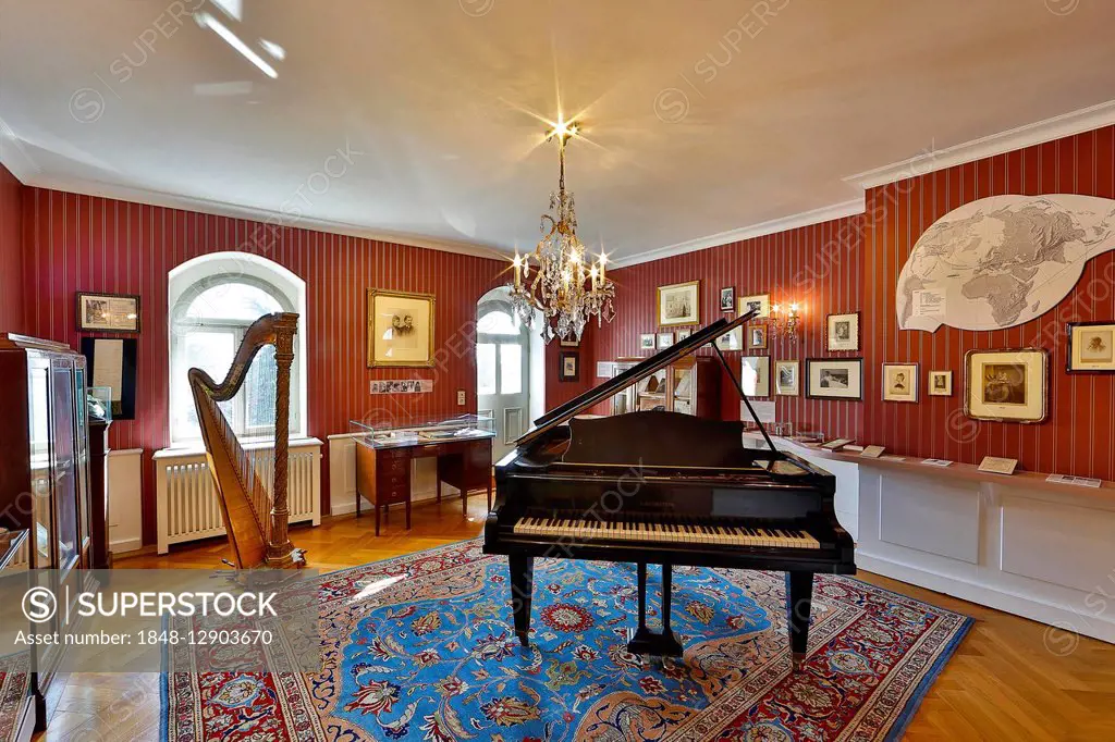Showroom with harp and grand piano, Villa Teresa, Coswig, Saxony, Germany
