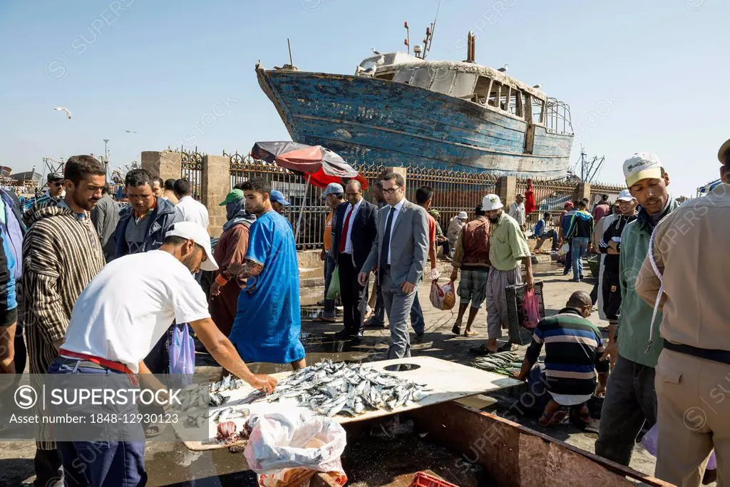 Fish market at the harbour, Essaouira, Morocco