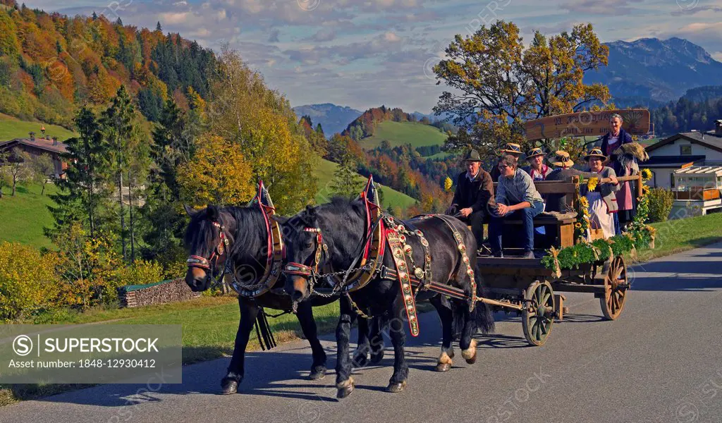 Leonhardiritt procession, carriage, behind Zahmer Kaiser, Thiersee, Tyrol, Austria