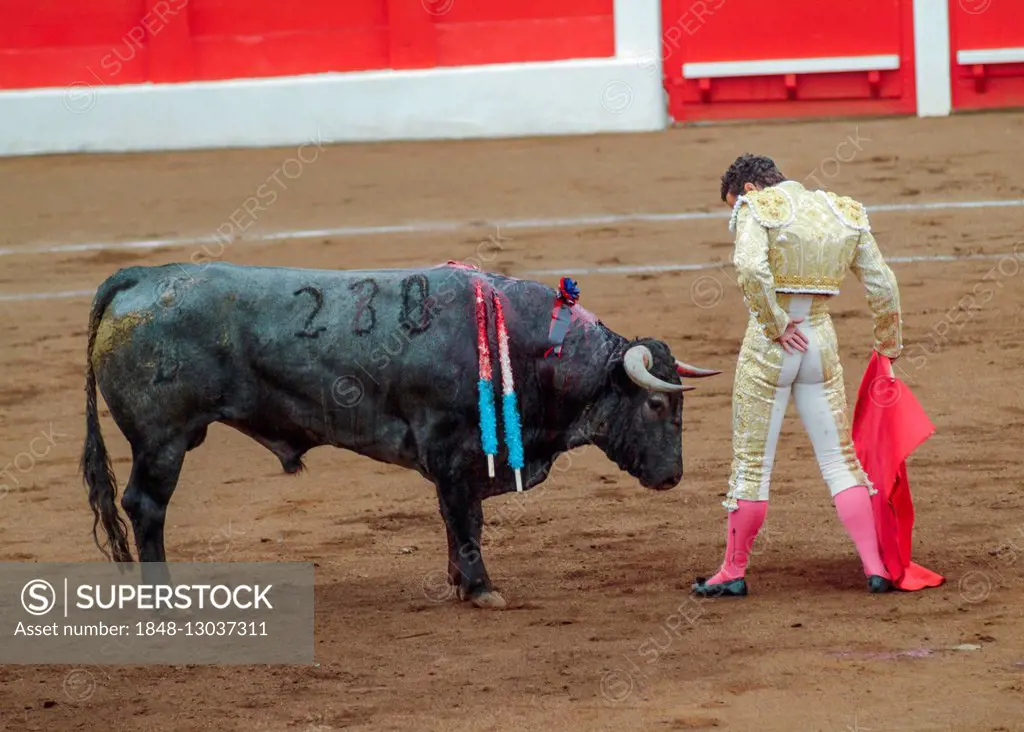 Bullfight, Matador and bull in the arena, Santander, Cantabria, Spain