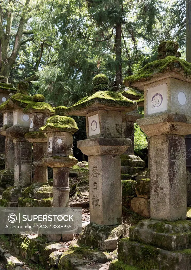 Toro, stone lanterns, along the path to Kasuga Taisha Shrine in Nara, Japan