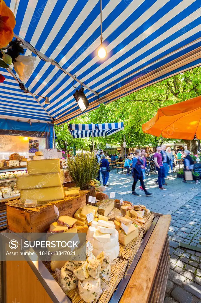 Stall with cheese, Viktualienmarkt, Munich, Bavaria, Germany