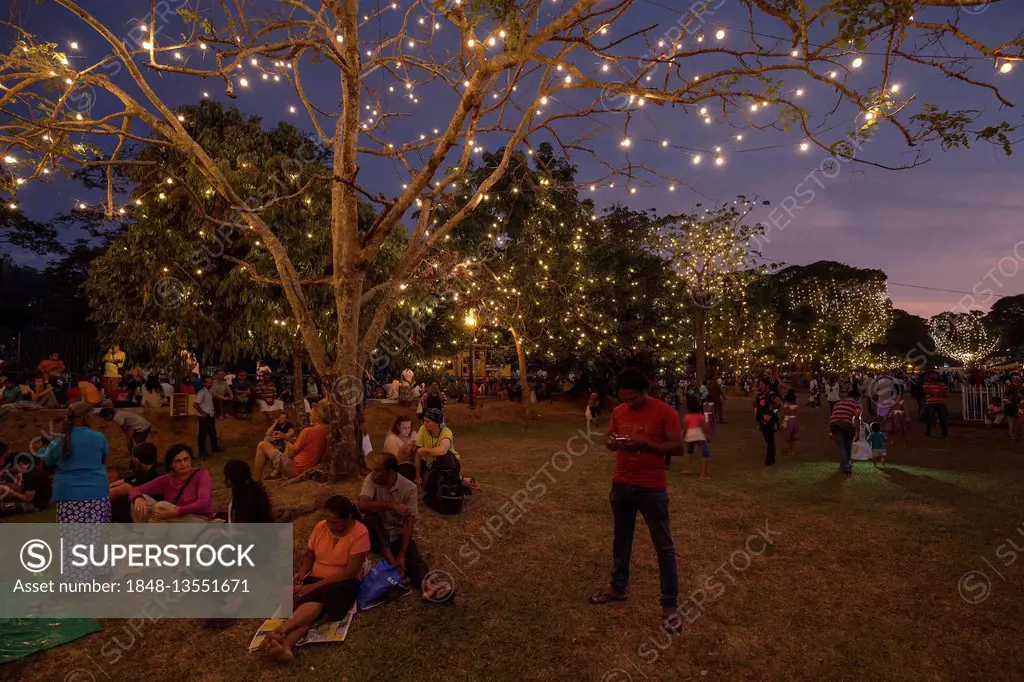 Trees decorated with fairy lights, Buddhist festival Esala Perahera, Temple of the Sacred Tooth Relic, Kandy, Central Province, Sri Lanka