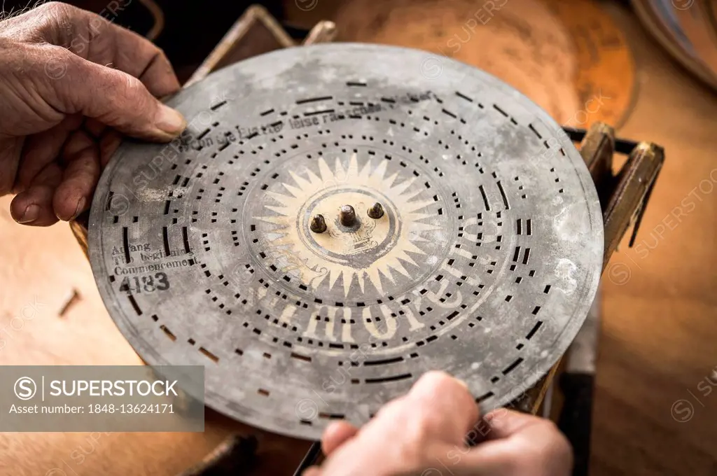 Barrel organ manufacture, perforated metal disk is placed on pin circle to check sounds, Grassau, Upper Bavaria, Bavaria, Germany