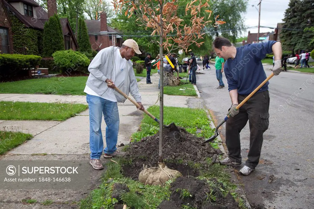Volunteers plant trees in the East English Village neighborhood of Detroit, Detroit, Michigan, USA