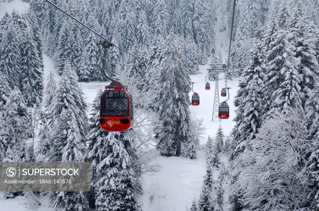 Gondola cableway passing through wintry spruce forest, going from the Krienseregg up to the Fraekmuentegg, Lucerne, Switzerland, Europe