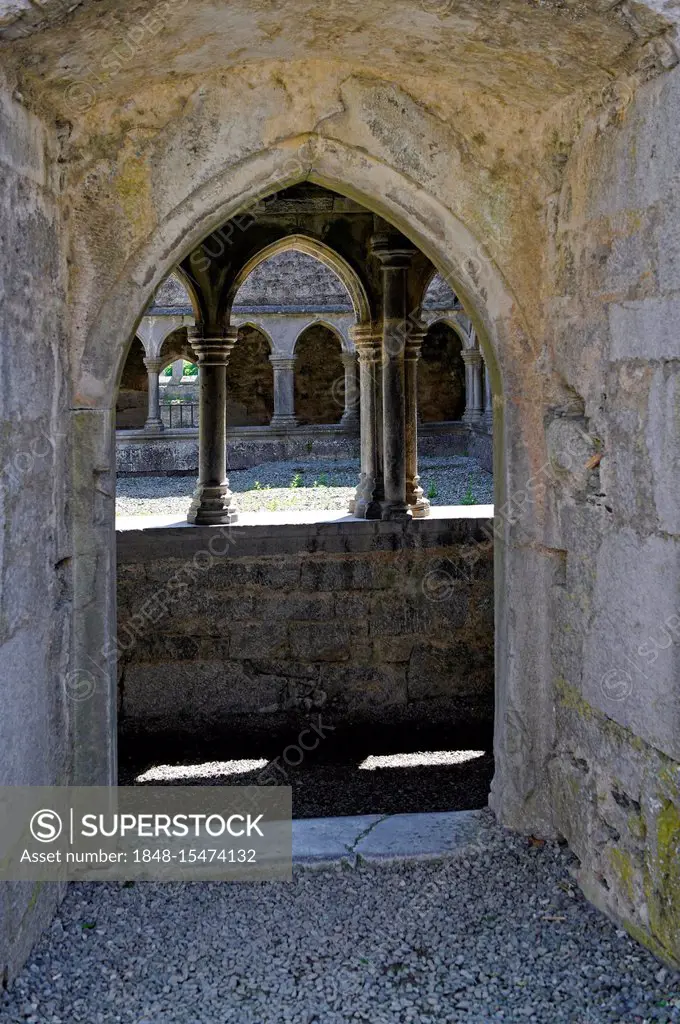 Cloister, ruins of the former Franciscan monastery, Askeaton, County Limerick, Ireland, Europe