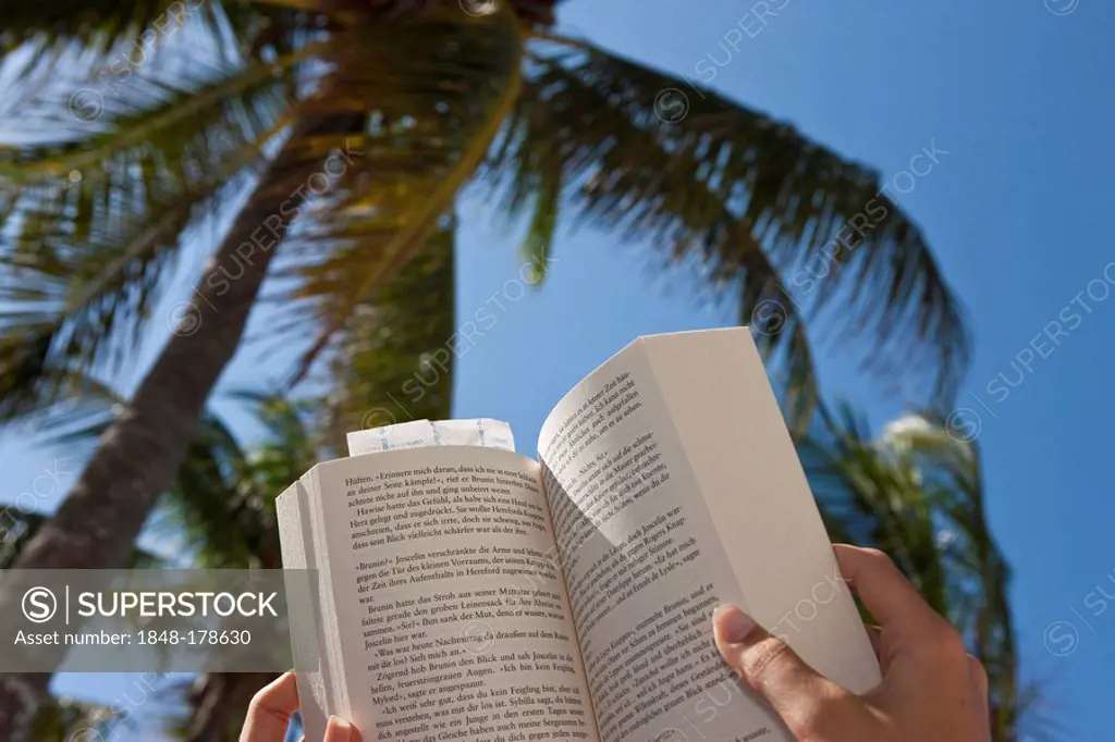 Woman on a beach reading a book under palm trees