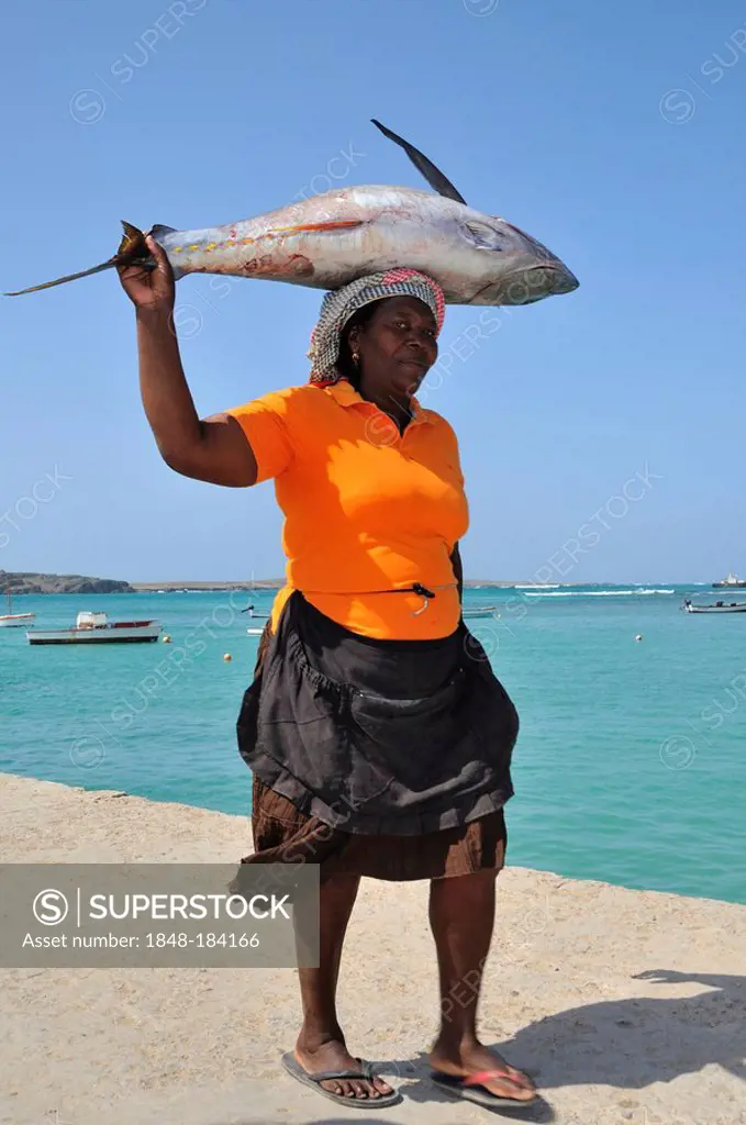Woman carrying a tuna on her head, Sal Rei, Boa Vista Island, Republic of Cape Verde, Africa