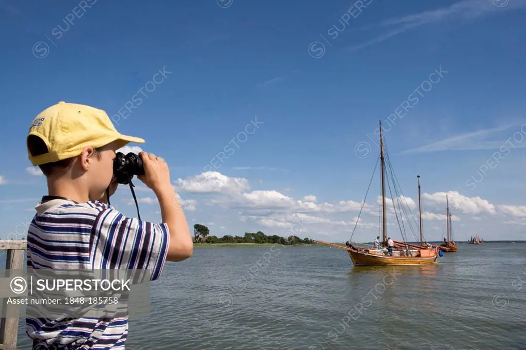 Boy watching the Zeesenboot-Regatta, sailing regatta, using binoculars, Wustrow, Fischland, Baltic Sea, Mecklenburg-Western Pomerania, Germany, Europe