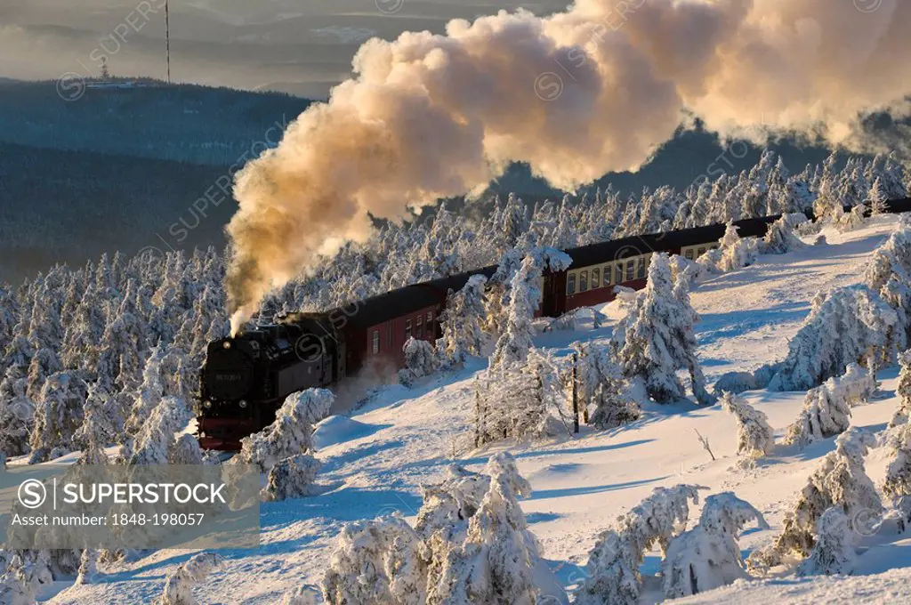 Harz narrow-gauge railroad in a wintery forest, steam engine, Brocken, Blocksberg, Harz National Park, Saxony-Anhalt, Germany, Europe