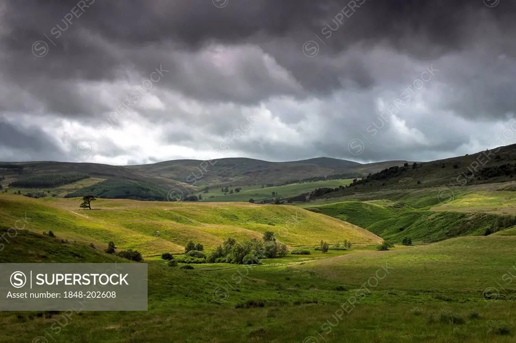 Landscape in Scotland, United Kingdom, Europe