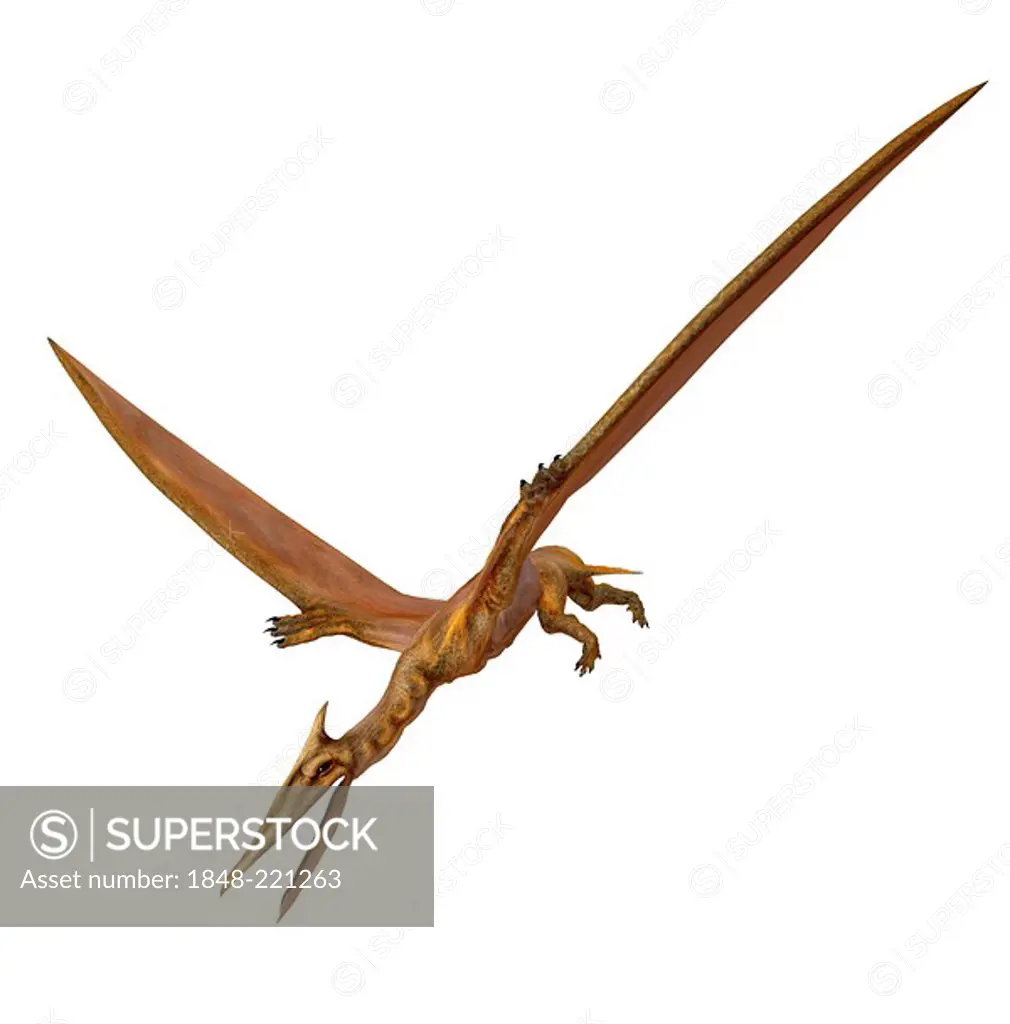 The Quetzalcoatlus northropi was a flight dinosaur with approx. 12 m span and lived in the time of the Cretaceous period . The mass of the animal amou...
