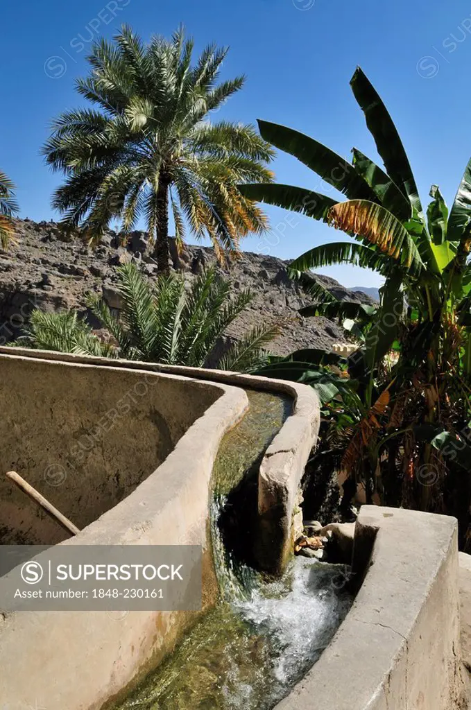 Traditional Falaj canal, irrigation system, at mountain oasis of Wadi Misfah, Hajar al Gharbi Mountains, Dhakiliya Region, Sultanate of Oman, Arabia, ...
