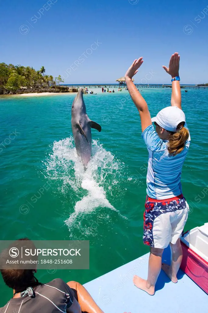 School girl training a dolphin during a biology lesson with a dolphin trainer in Anthony's Key Resort, Roatan, Honduras, Central America