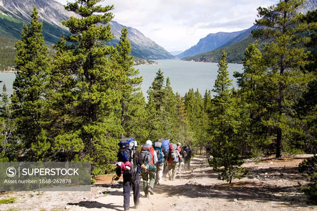 Group of hikers / backpackers, Lake Bennett, Chilkoot Pass / Trail, British Columbia, B.C., Canada