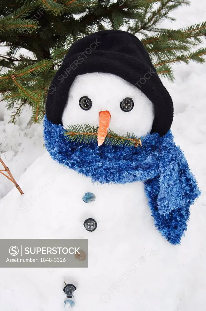 Snowman with hat, scarf and carrot nose