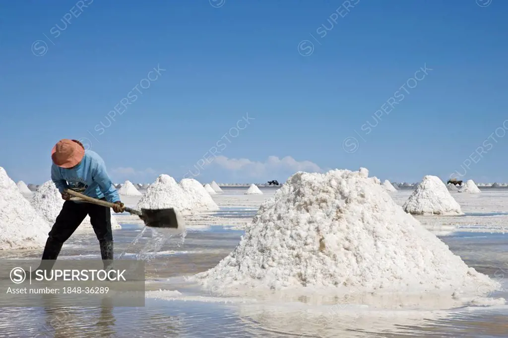 Salt worker makes Salt accumulation, salt lake Salar de Uyuni, Altiplano, Bolivia, South America
