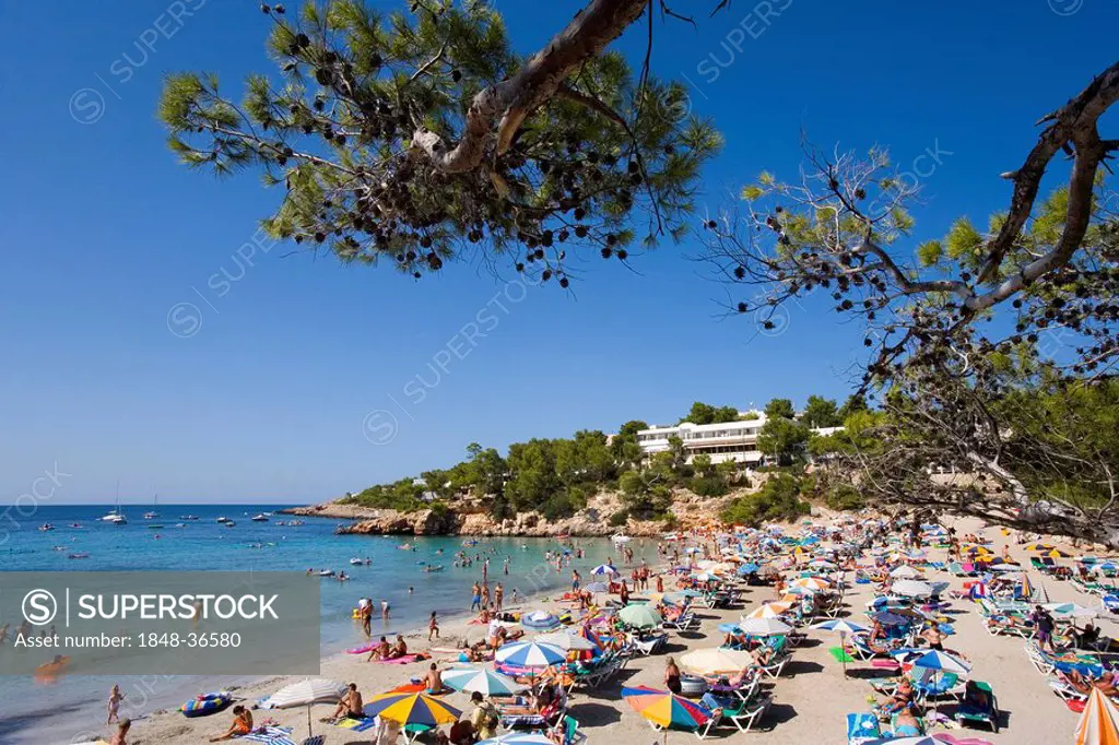 Tourists on the beach of Portinatx, Ibiza, Balearic Islands, Spain, Europe