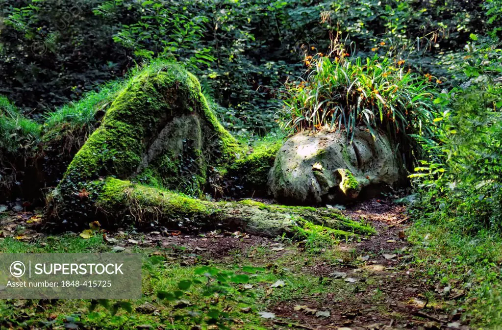 Spirit of the Wood as a garden sculpture, Heligan, Lost Gardens of Heligan, Cornwall, United Kingdom