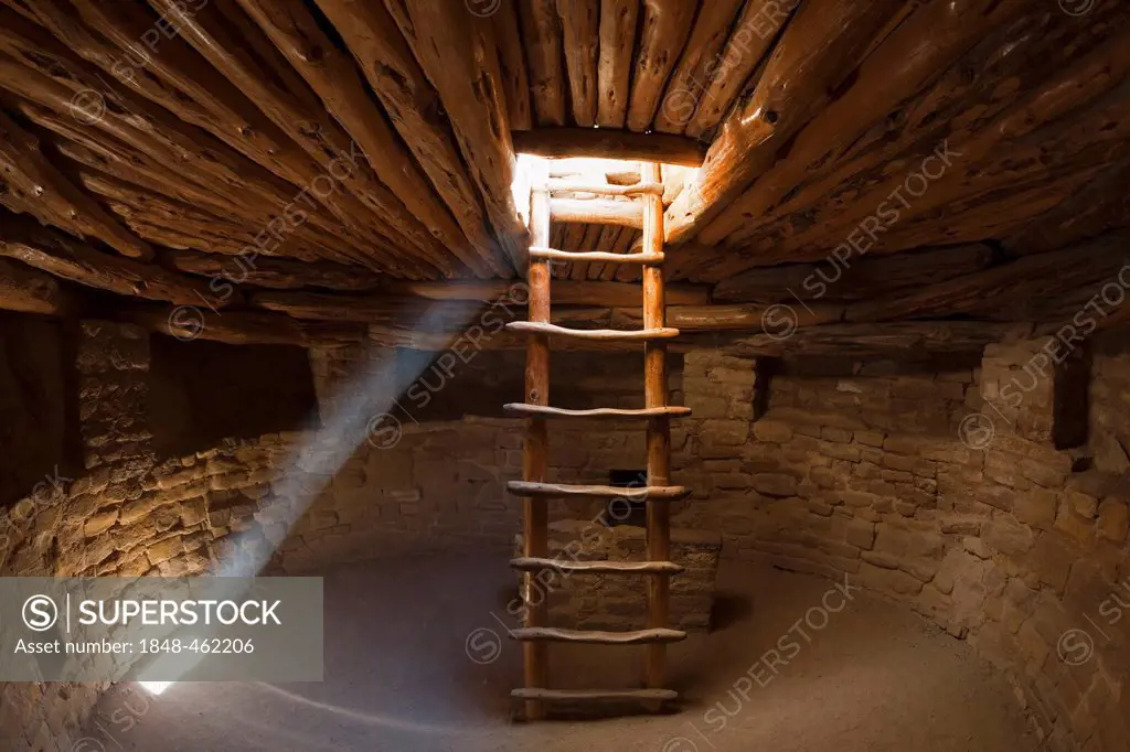 Ladder in a Kiva room for religious ceremonies, Spruce Tree House, Anasazi Native American ruins, Mesa Verde National Park, Colorado, America, United ...