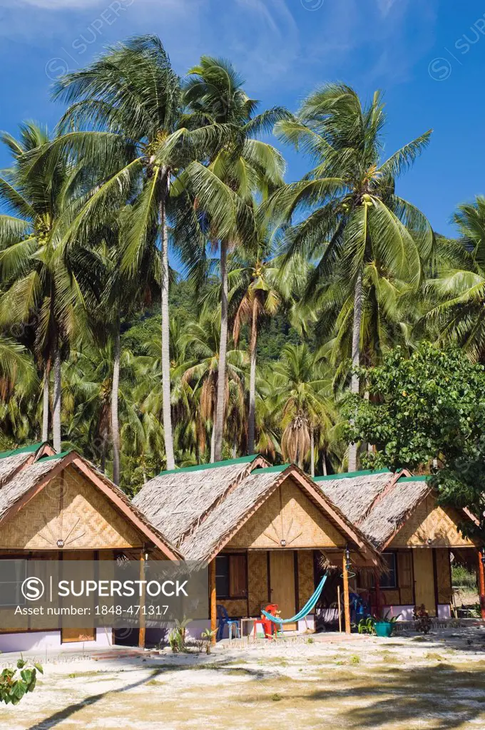 Bungalow hotel under coconut palms, Ko Hai or Koh Ngai island, Trang, Thailand, Asia