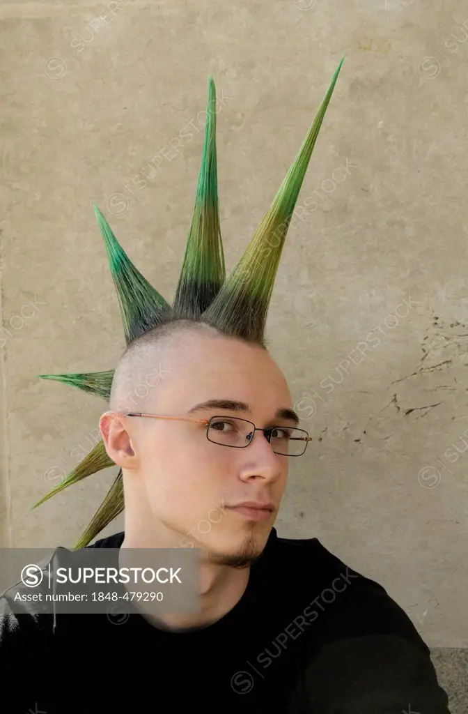 Young man with a punk hairstyle, mohawk, mohican, Wave Gothic Treffen music festival, Leipzig, Saxony, Germany, Europe