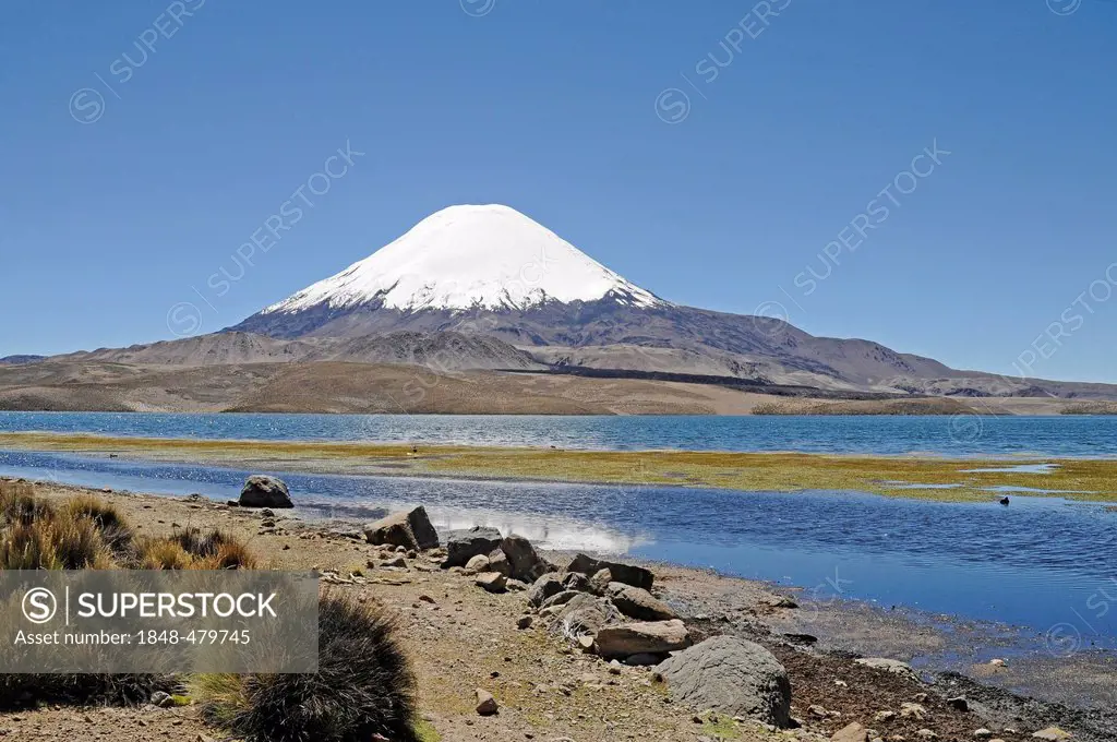 Parinacota Volcano, Lake Chungara, Lauca National Park, Altiplano, Norte Grande, Northern Chile, Chile, South America