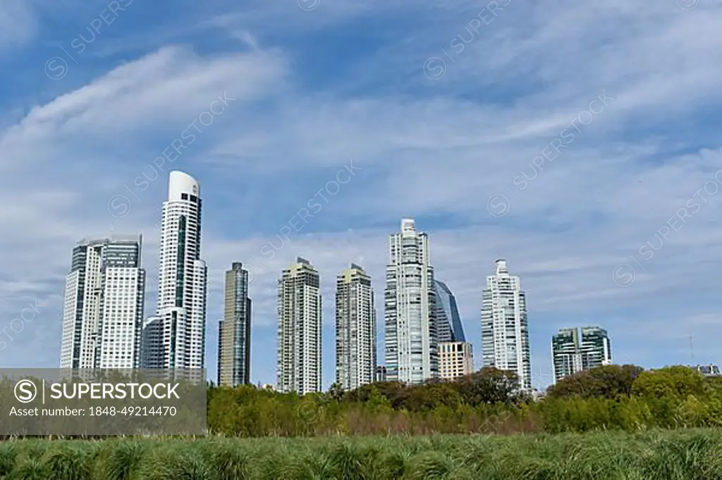 Skyline of Puerto Madero with Alvear Tower, the tallest building in Argentina, seen from Costanera Sur Nature Reserve, Buenos Aires, Argentina, South America