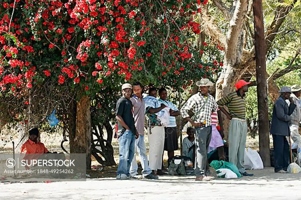 Group of people on the roadside, Sepupa, Botswana, Africa