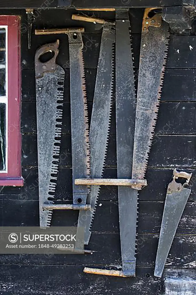 Collection of antique two-man saws and vintage crosscut saws, thwart saw for cutting wood hanging on wall of old sawmill, lumberyard