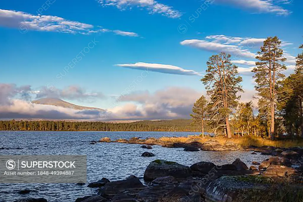 Lake Femund, Femundsmarka National Park, Femundsmark, Norway, Europe