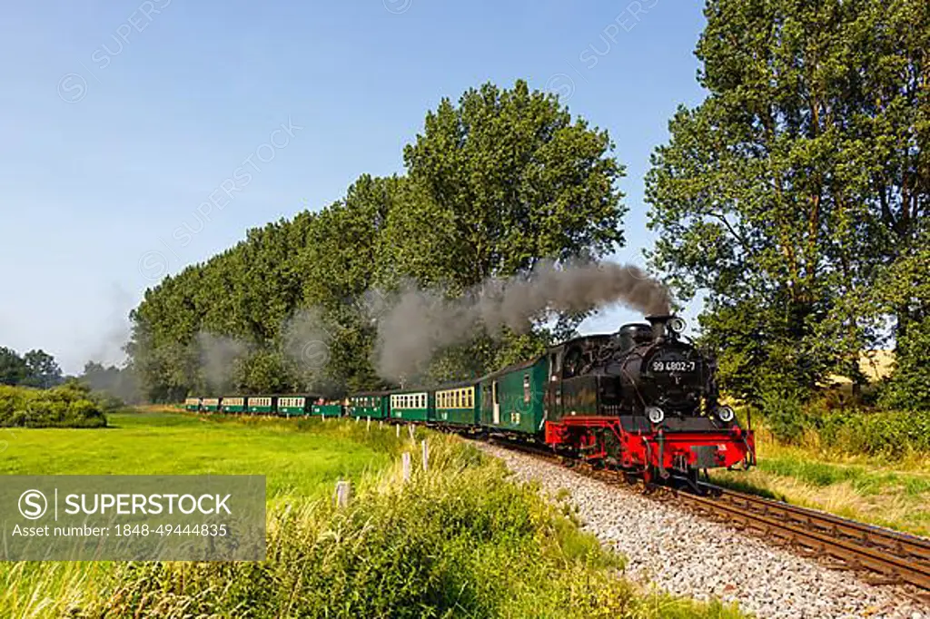 Steam train Rasender Roland railway steam locomotive on the island of Ruegen in Serams, Germany, Europe