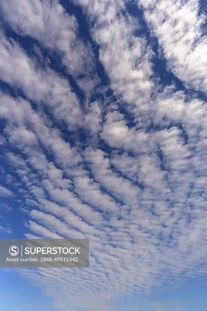 Cloud formations (Altocumulus undulatus), Bavaria, Germany, Europe