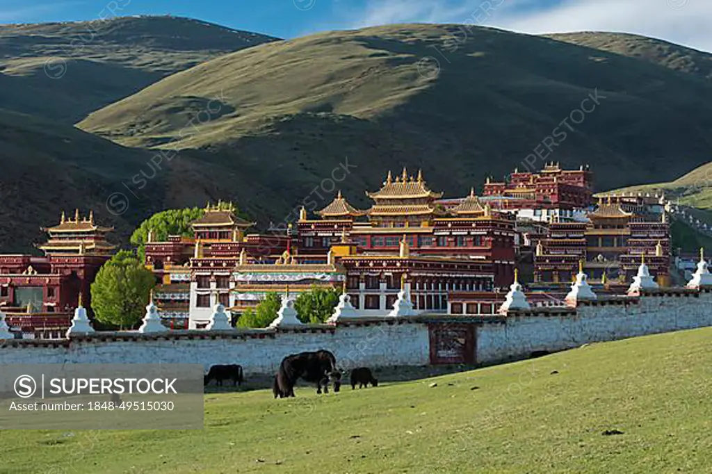 Tibetan Buddhist Monastery Litang, Lithang, Gaocheng, Kham, Garze County, Sichuan, Eastern Tibet, Tibet, China, Asia