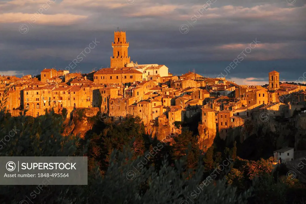 View across olive trees to medieval town of Pitigliano glowing in evening light with cathedral Santi Pietro e Paolo and tower in the centre, Maremma, ...