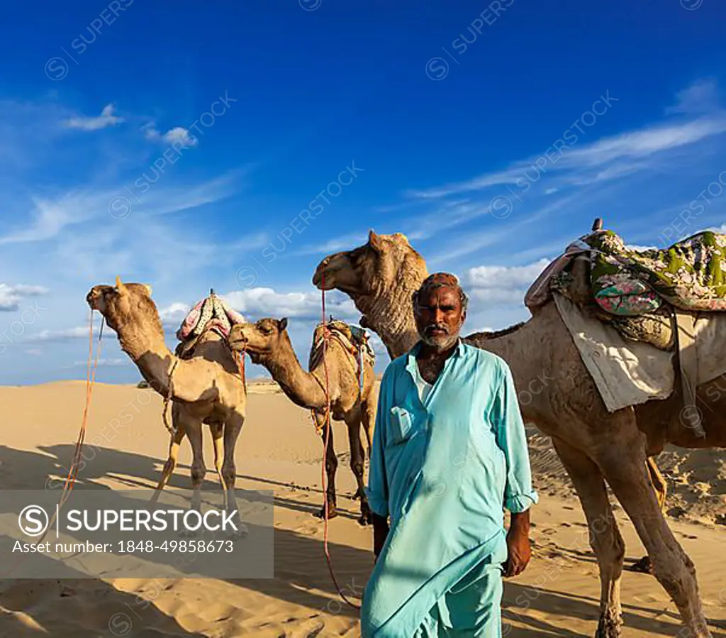 Rajasthan travel background, Indian man cameleer (camel driver) portrait with camels in dunes of Thar desert. Jaisalmer, Rajasthan, India, Asia