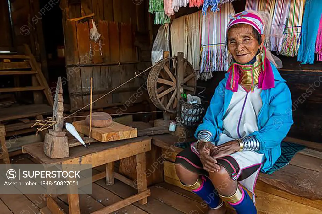 Portrait of a Padaung, giraffe with a traditional weaving chair, woman, Loikaw area, Kayah state, Myanmar, Asia