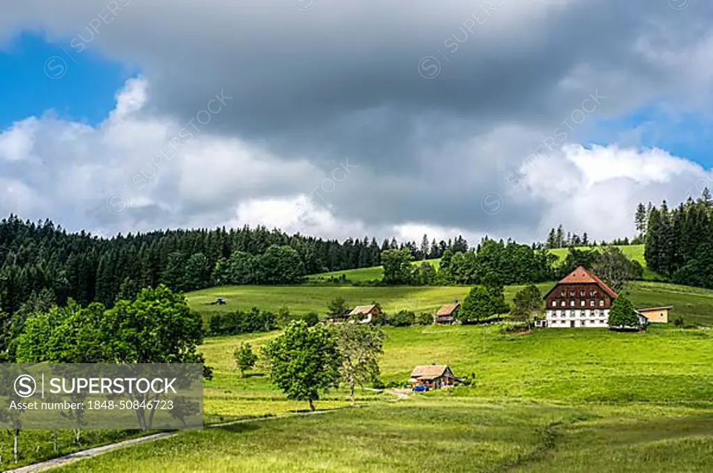 Summer farm in the Upper Black Forest, Black Forest, Baden-Wuerttemberg, Germany, Europe
