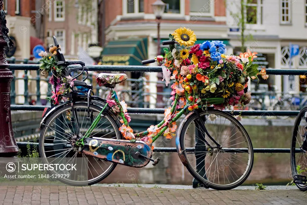 Bicycle decorated with flowers, Singel Street, Amsterdam, Netherlands, Europe