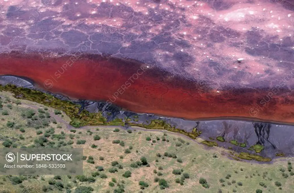 Aerial view, water red by cyanobacteria, Lake Natron, Great Rift Valley, Tanzania, Africa