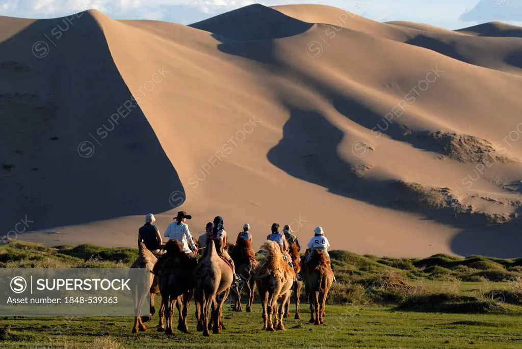 Group of tourists riding on camels towards the great sand dunes of Khorgoryn Els in the Gobi Desert, Gurvan Saikhan National Park, Oemnoegov Aimak, Mo...