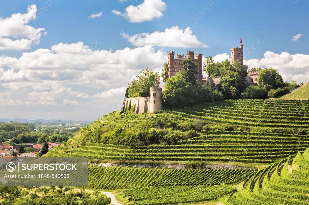 Ortenberg Castle, near Offenburg, Black Forest, Baden-Wuerttemberg, Germany, Europe