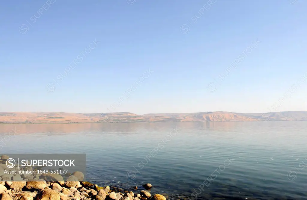 Capernaum, living place of Jesus Christ, Sea of Galilee, Kinneret, Galilee, Israel, Middle East, Southwest Asia