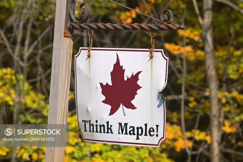 Think Maple!, maple syrup sign, Vermont, New England, USA
