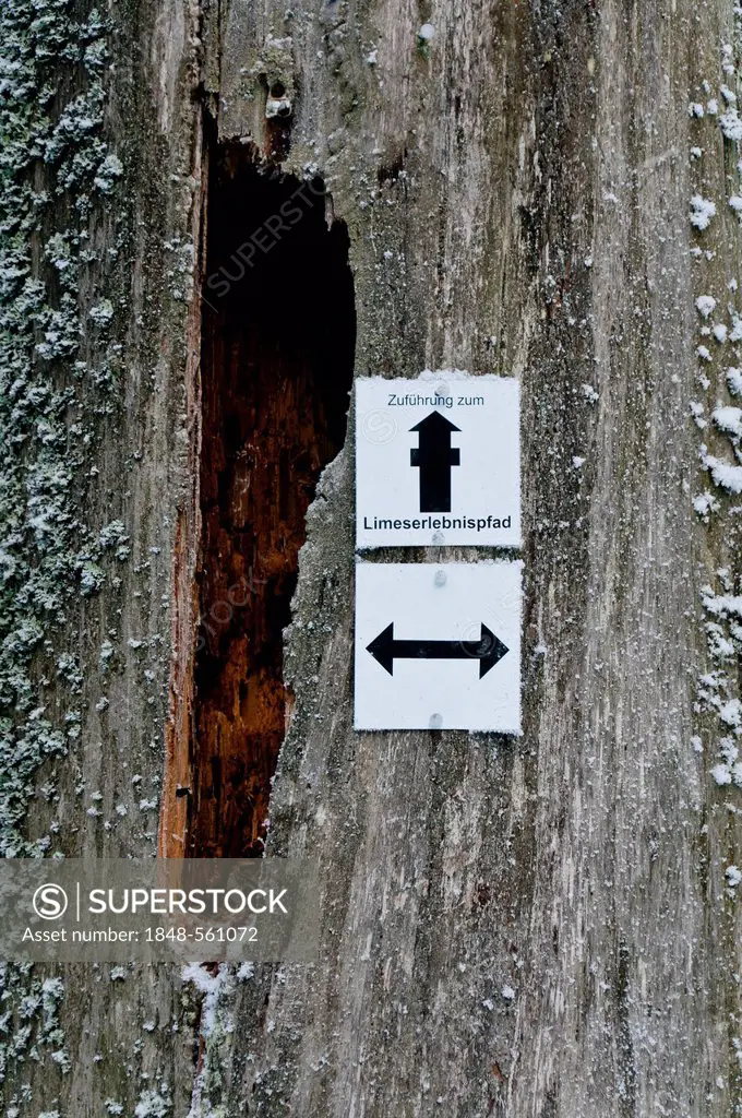 Hikers trail marker on an old tree stump, Taunus, Hesse, Germany, Europe, PublicGround