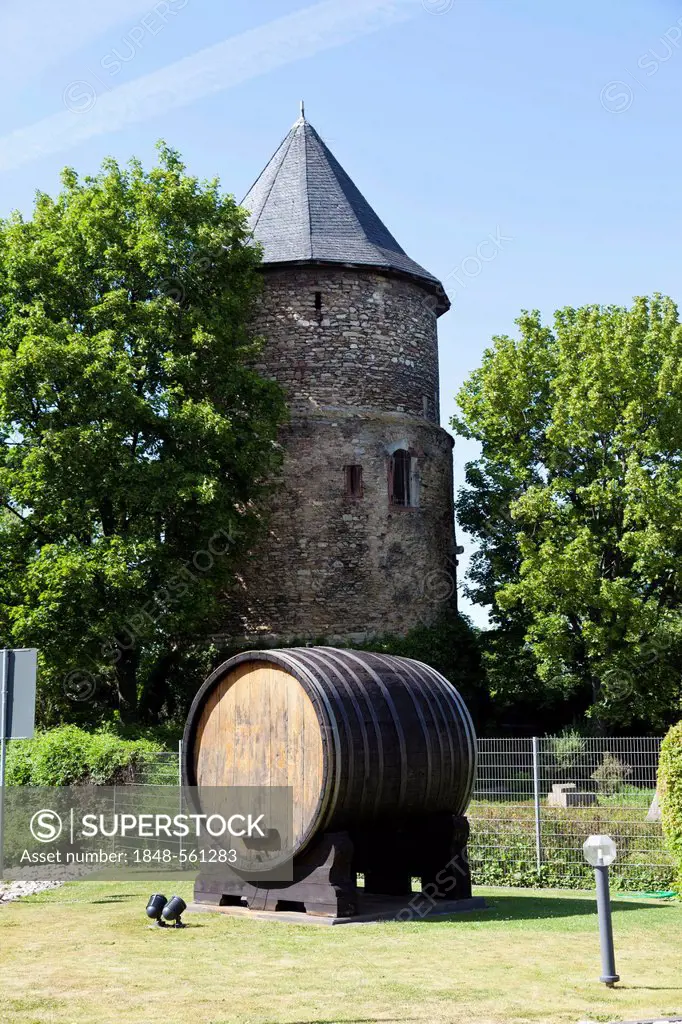 Alexander Tower, medieval tower and a wine cask from the sparkling wine producer Kupferberg, Kupferbergstrasse, Kupferberg Garden, Mainz, Rhineland-Pa...