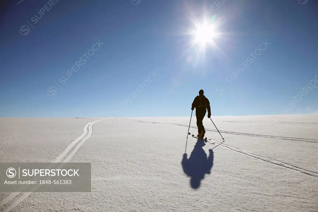 Solitary cross-country skier on the summit of Feldberg Mountain, Black Forest, Baden-Wuerttemberg, Germany, Europe, PublicGround