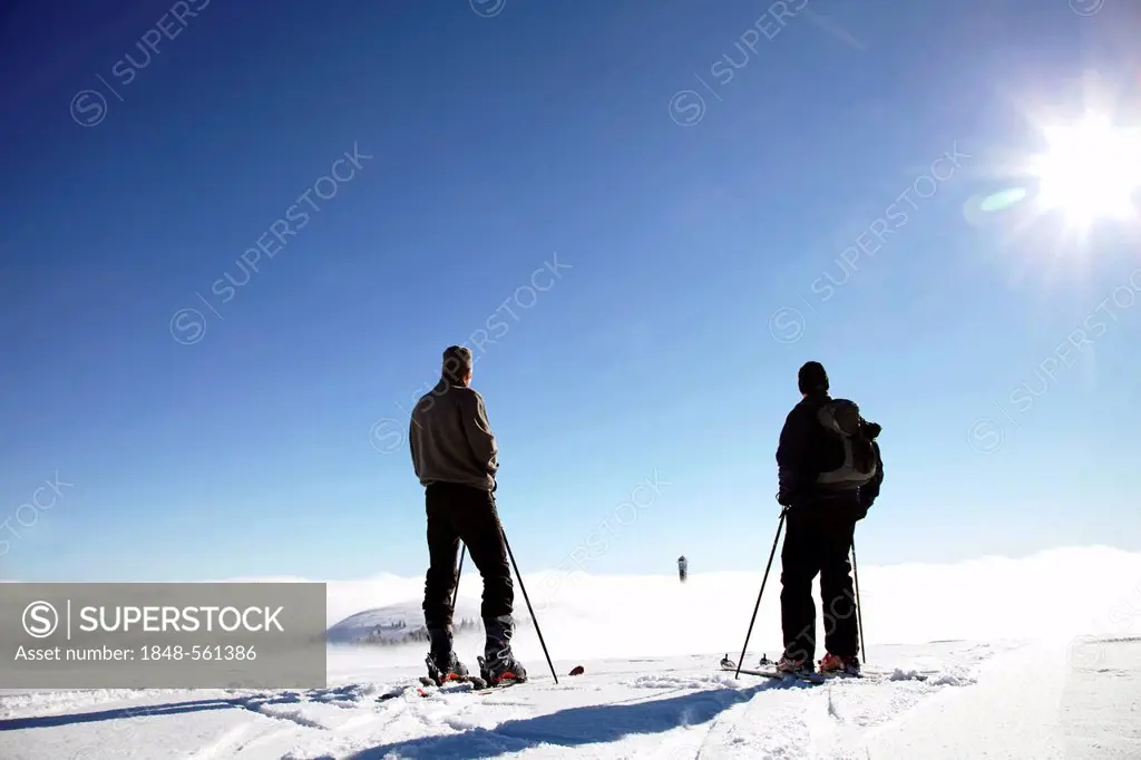 Two cross-country skiers enjoying the view from the summit of Feldberg Mountain towards Seebuck Mountain in the fog, Black Forest, Baden-Wuerttemberg,...